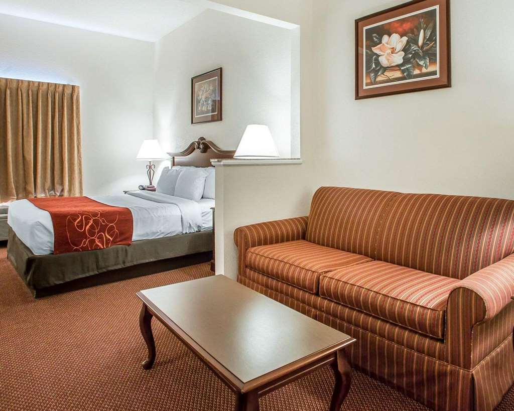 Comfort Suites Jefferson City - photo 18