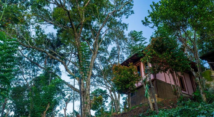 The Woods Birding Farming & Eco Living in Haputale, Sri Lanka