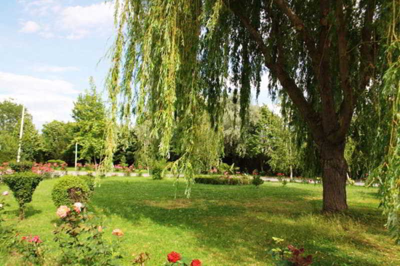 Hotel Sirius — hotel in Strumica