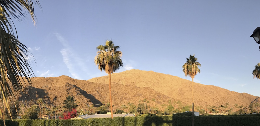 Delos Reyes Palm Springs - photo 19