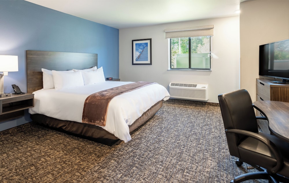 My Place Hotel Carson City NV - photo 10
