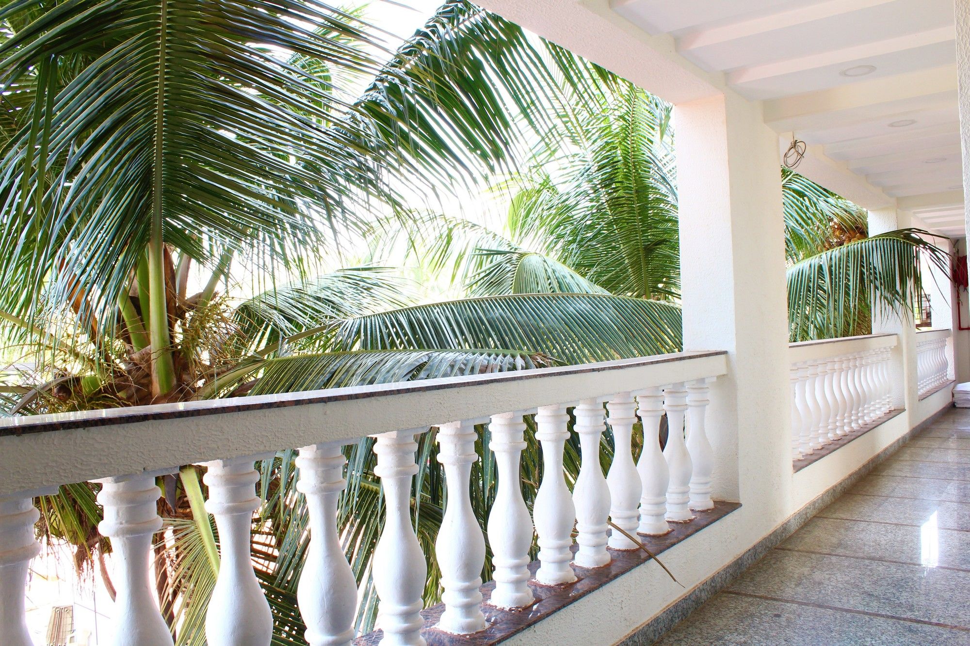 Hotel Savoy Palacio — Calangute — photo 3
