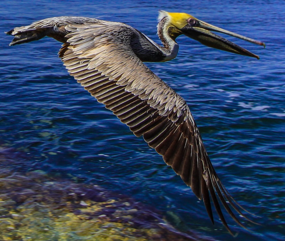 Florida Bay Club in Key Largo, United States