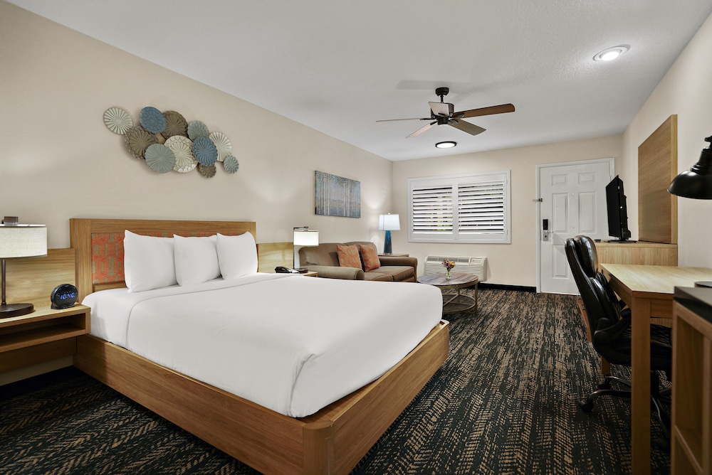 La Fuente Inn & Suites - photo 8