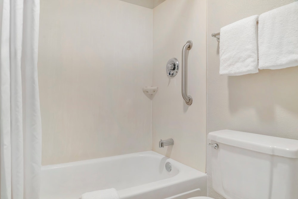 Red Roof Inn Detroit Rochester Hills Auburn Hills - photo 23