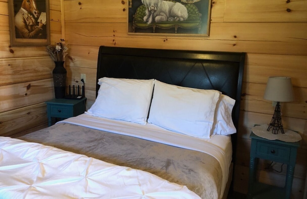 Copperhead Lodge and Resort Cabin Rentals - photo 12