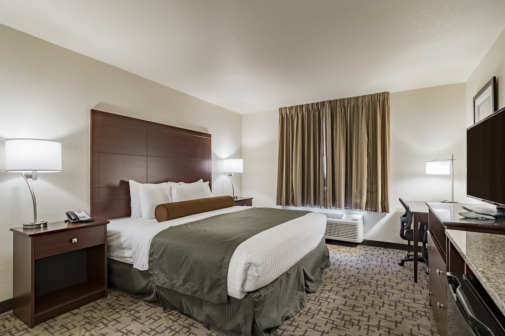 Cobblestone Hotel & Suites Greenville - photo 29