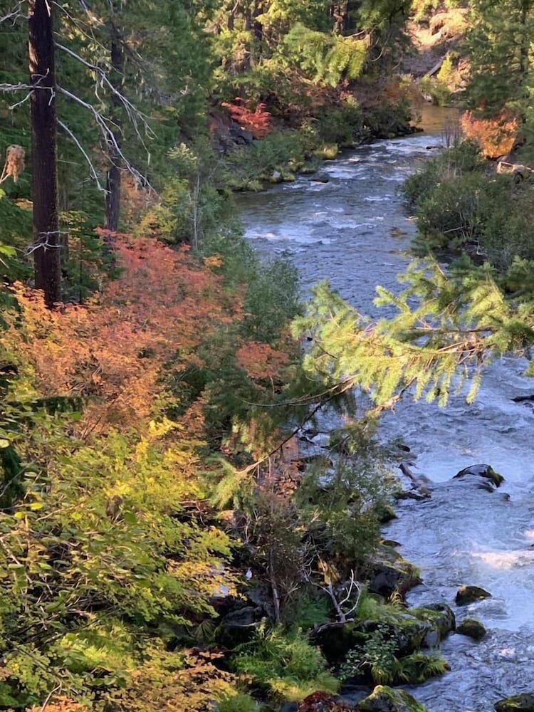 Union Creek Resort - photo 88