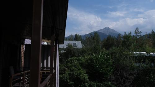 Svezhest Свежесть — Almaty — photo 3