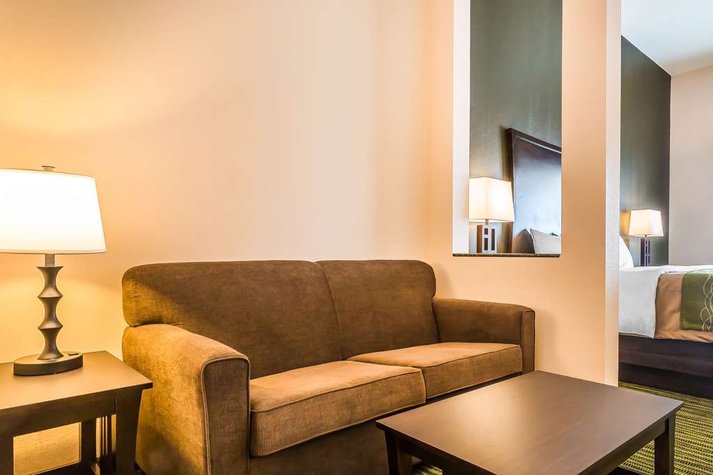 Comfort Inn & Suites Moore Oklahoma City - photo 26