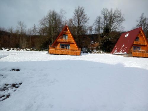 Coucou - carbon neutral hotel in Unknown City