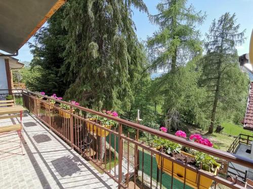 Sunny House Charming apartment in the nature — 4-Star Luxury Hotel in Casone, Italy