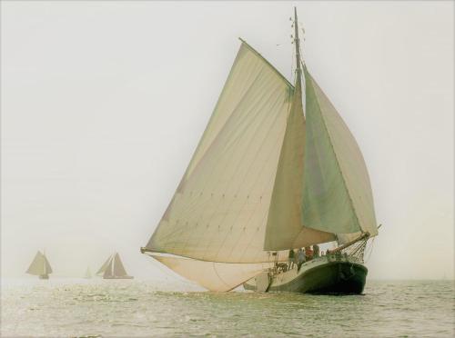Zeilschip de Vrouw Dina — Leiden — photo 2