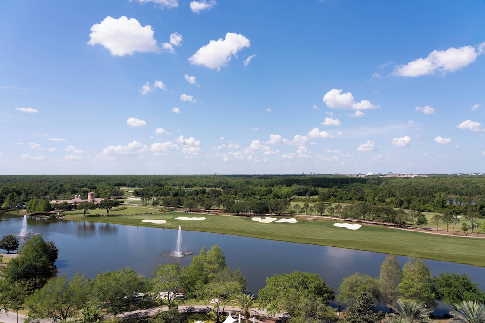 The Ritz Carlton Orlando Grande Lakes - photo 223