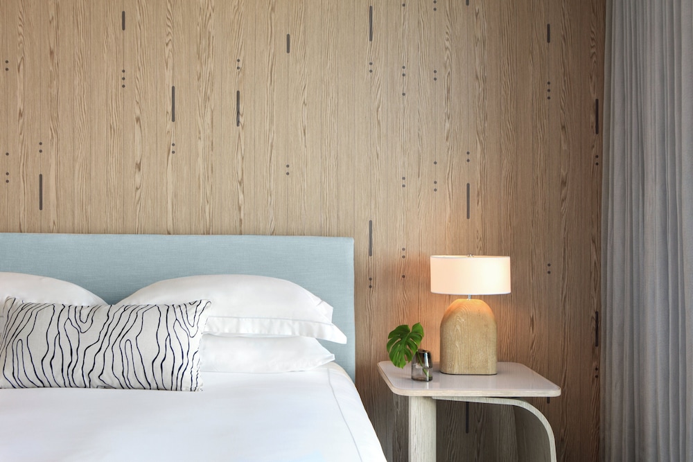 Kimpton Hotel Palomar South Beach by IHG - photo 21
