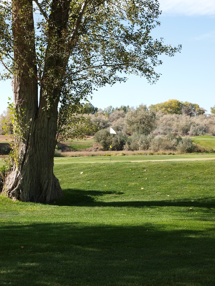 Holiday Inn Express Vernal Dinosaurland by IHG - photo 49