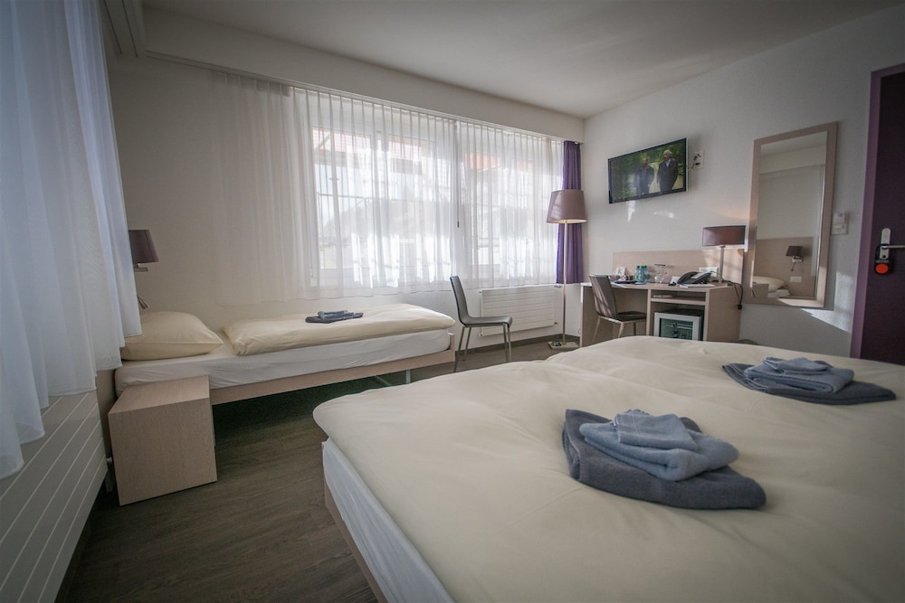 Hôtel de Ville le Sentier pet-friendly hotel Le Chenit