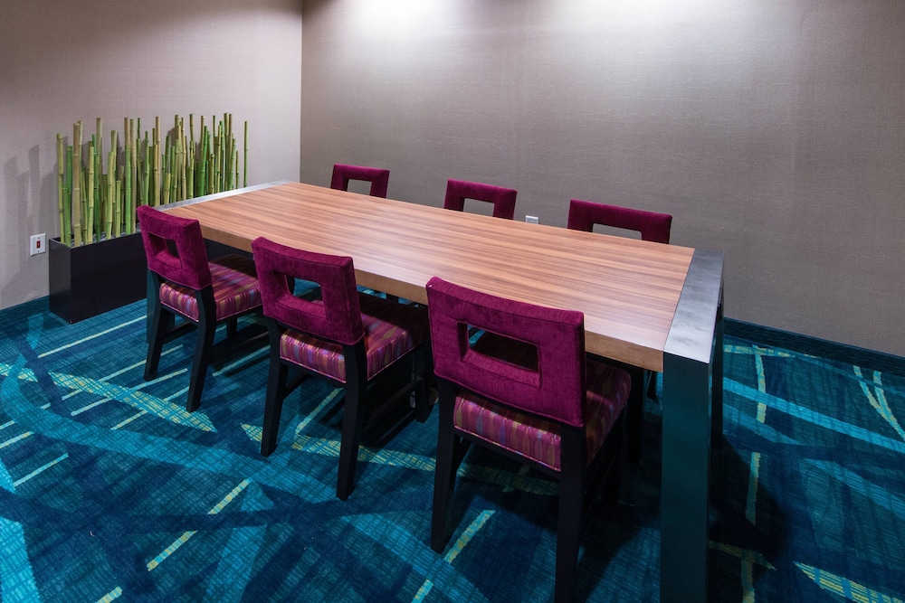 SpringHill Suites by Marriott Greensboro - photo 21