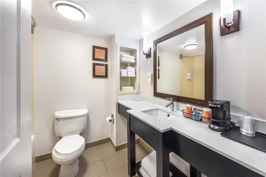 Comfort InnSuites ChattanoogaWest Lookout Mountain - photo 18