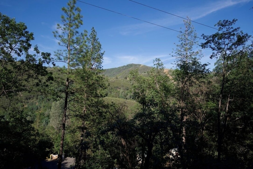 Yosemite Bug Rustic Mountain Resort - photo 68