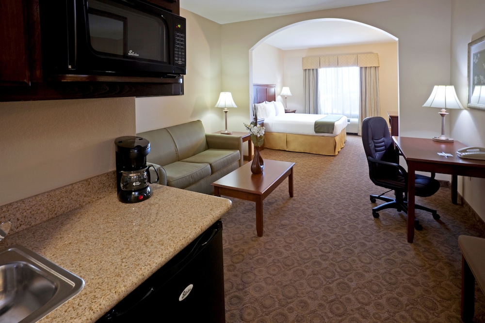 Holiday Inn Express & Suites Dallas Southwest Cedar Hill by IHG - photo 6