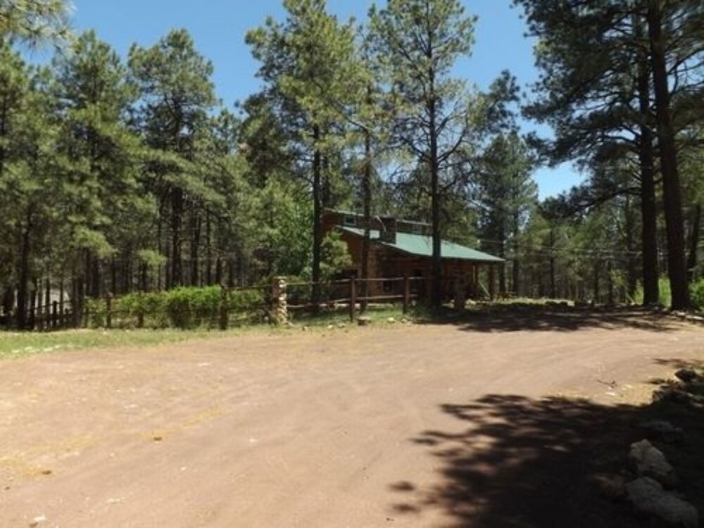 Arizona Mountain Inn and Cabins - photo 309