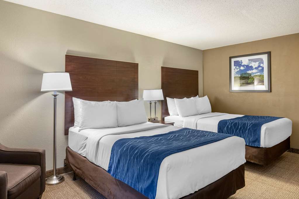 Comfort Inn Grand Rapids Airport - photo 18