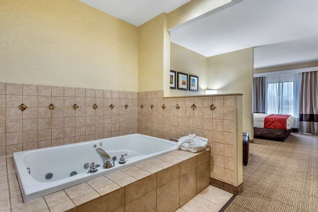 Comfort Suites Elkhart South - photo 16
