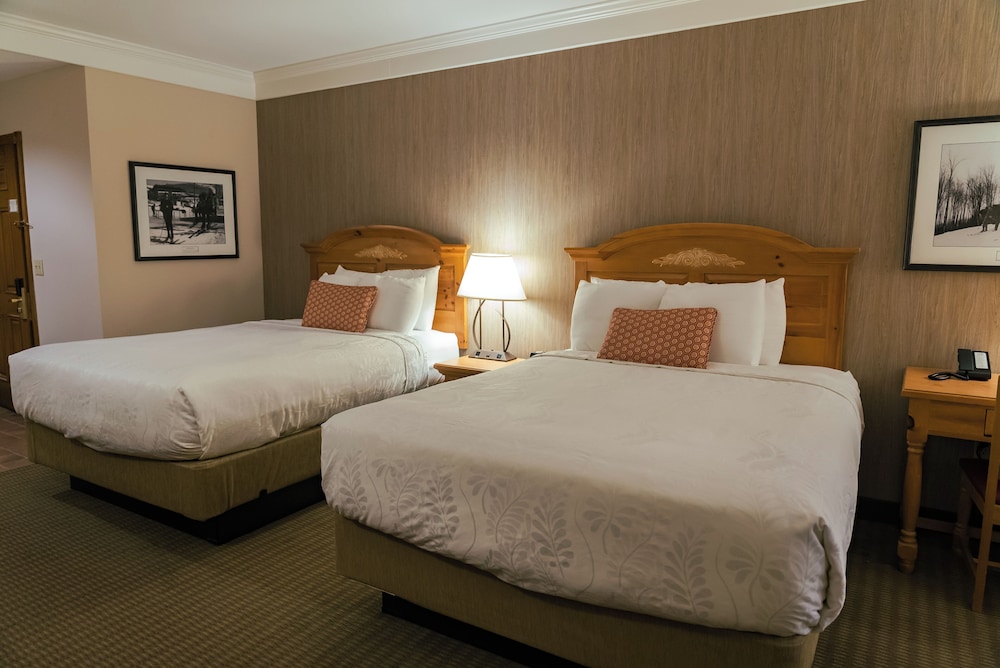 The Inn At Holiday Valley - photo 13