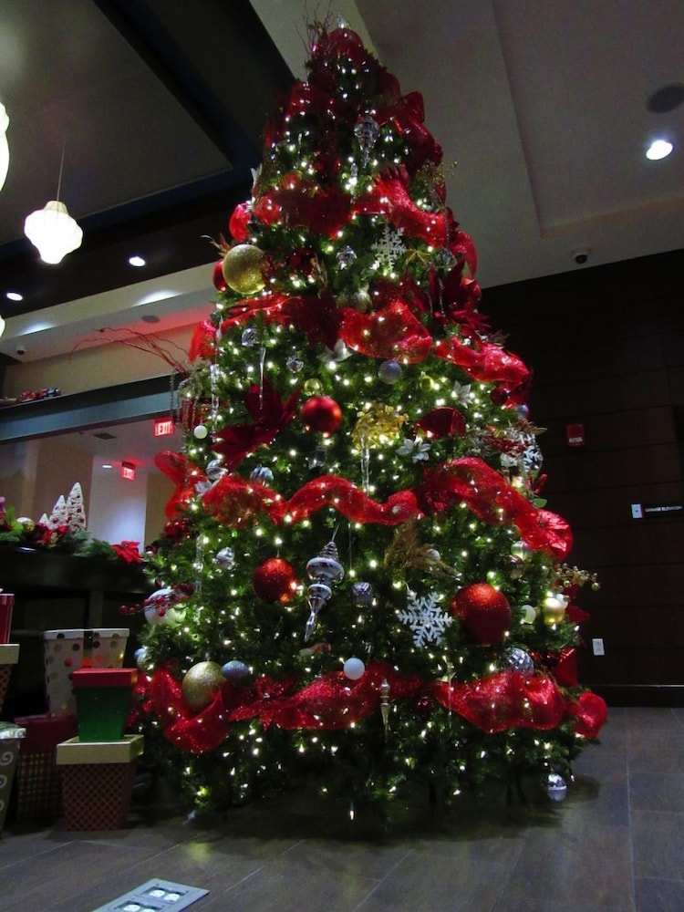 Hilton Garden Inn Pittsburgh Downtown - photo 2