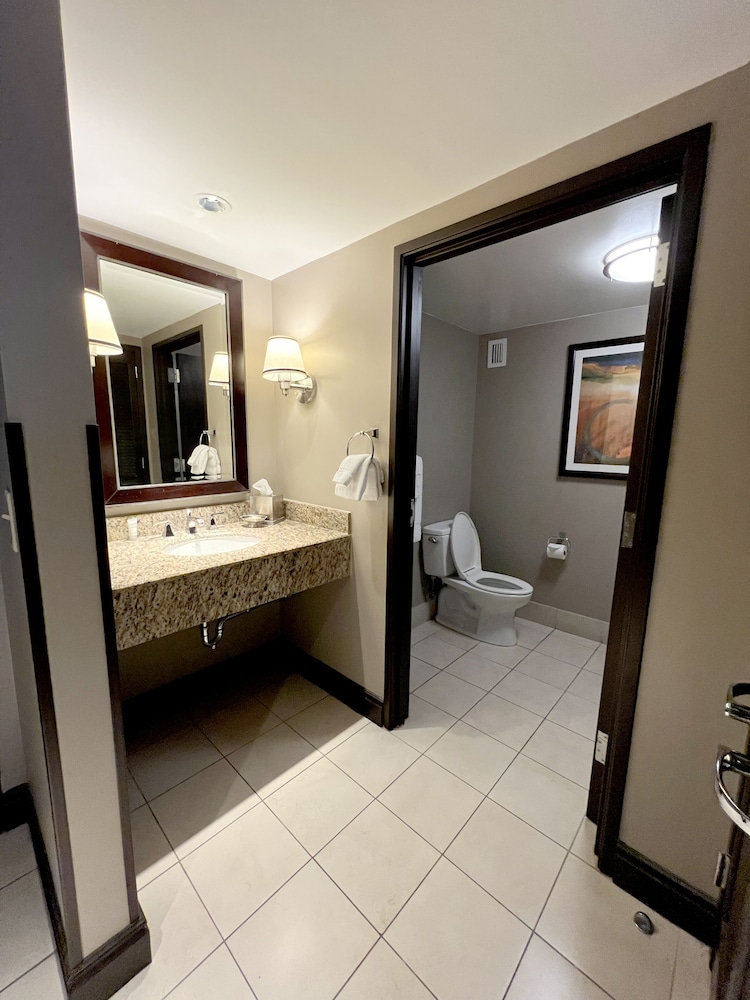 Ameristar Casino Hotel Vicksburg - photo 21