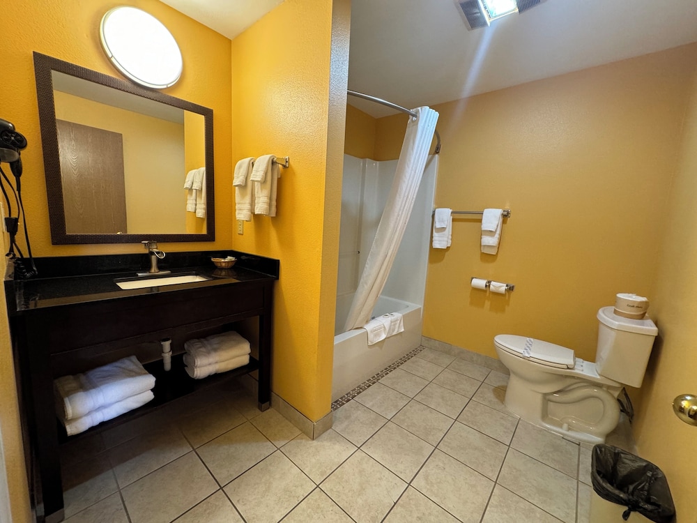 The Royal Victorian Motel - photo 45