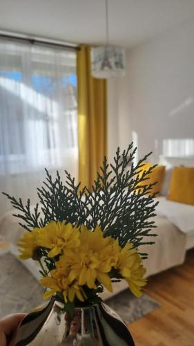 MV Central Apartment & Garage Self Check in — 4-Star Luxury Hotel in Timisoara, Romania