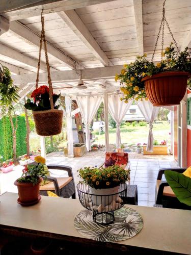 Almhutte Flattnitz - carbon neutral hotel in Gloednitz