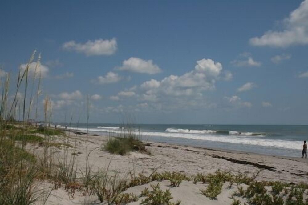 Surf Studio Beach Resort - photo 59