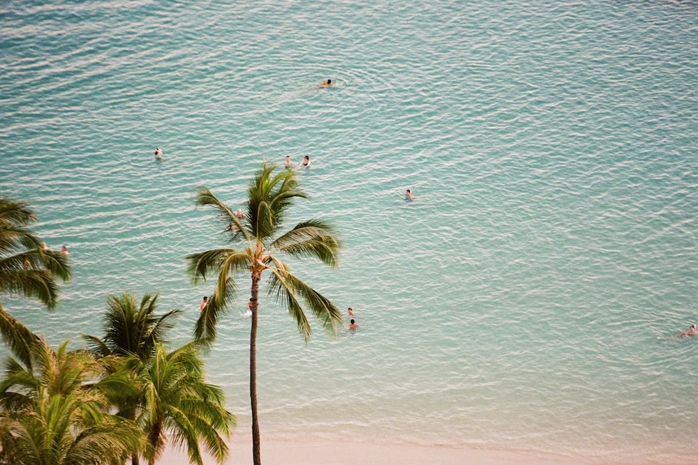 Waikiki Beach Marriott Resort & Spa - photo 124