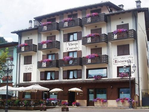 Albergo Centrale — hotel in Santo Stefano Di Cadore