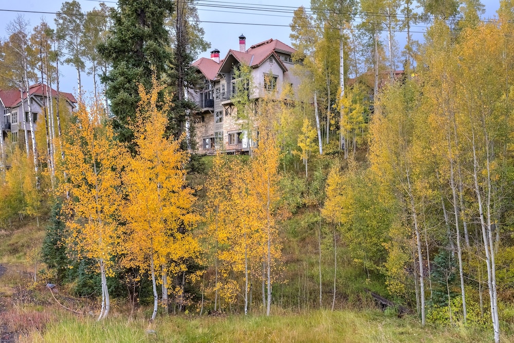 Aspen Ridge 3 In Mountain Village - photo 34