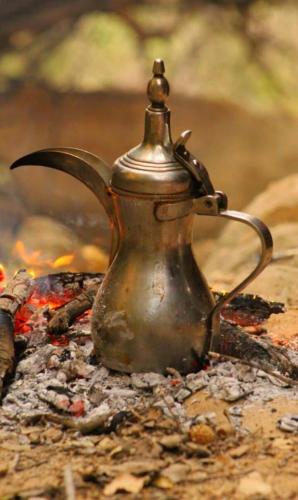 Camping In Dana 21607406 — At Tafilah