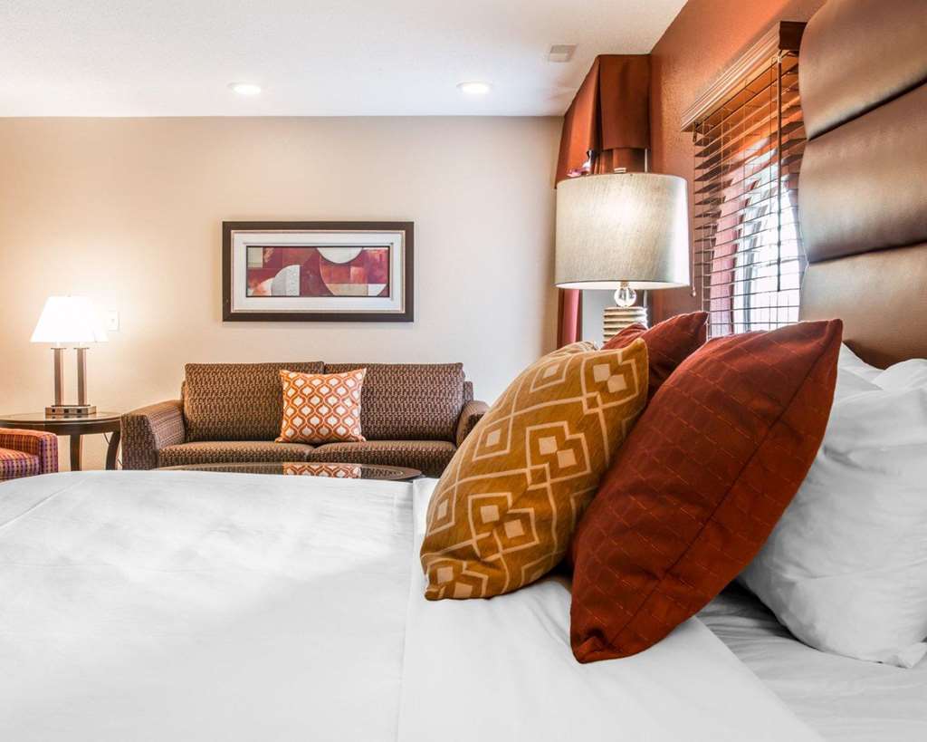 Comfort Inn & Suites and Conference Center - photo 19