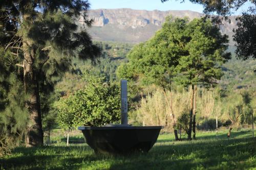 Calais Wine Estate in Paarl, South Africa