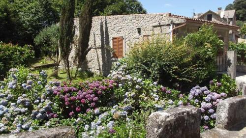 A Ponte do Río in Unknown City, Spain