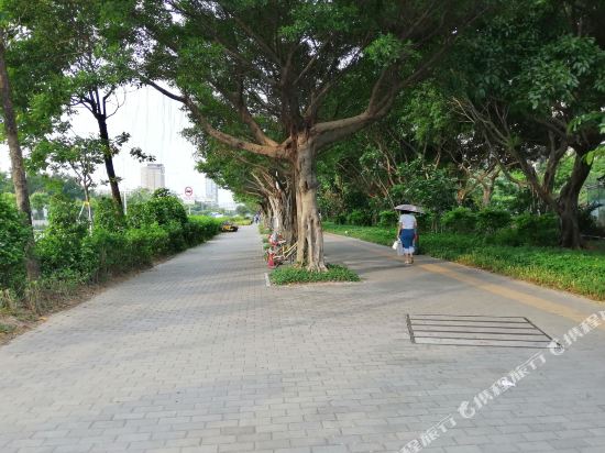 Xiao Yu s back garden in Shenzhen, People's Republic of China