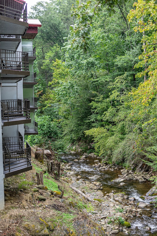 Bear Creek Inn - photo 36