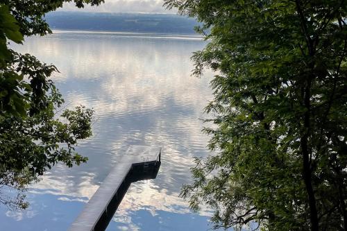 Avant Garde Seneca in Dundee, United States