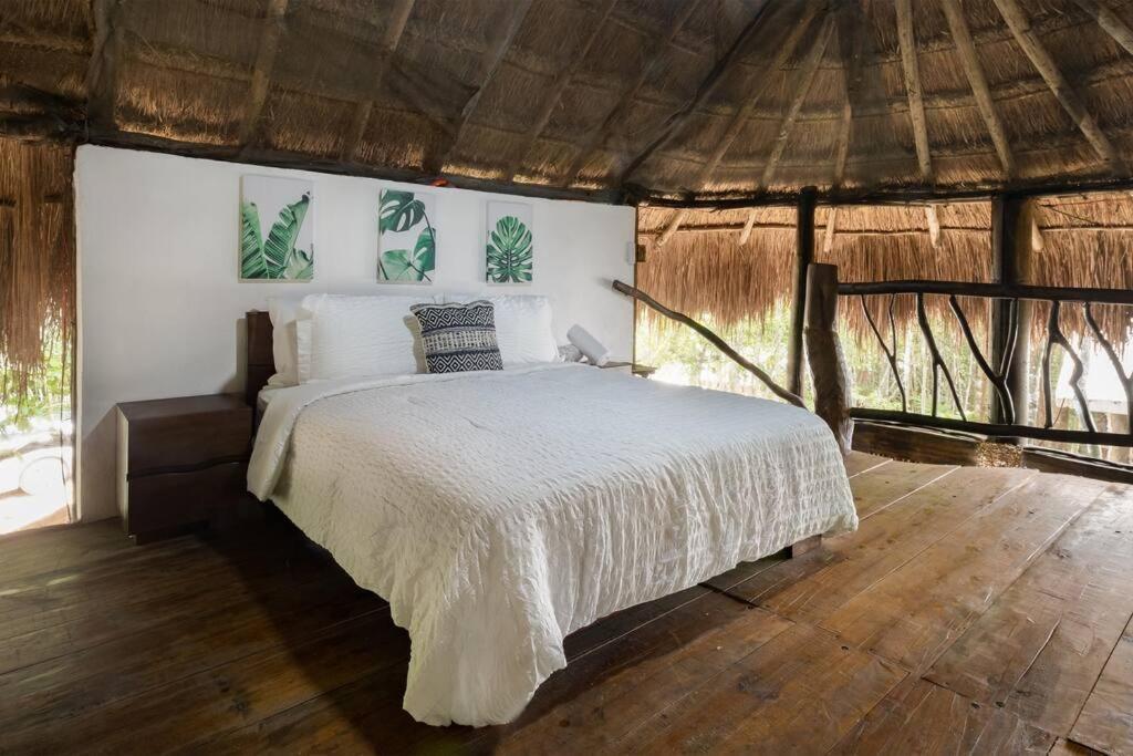 Palapa de la Selva with Cenotes — 4-Star Luxury Hotel in Playa Del Carmen, Mexico