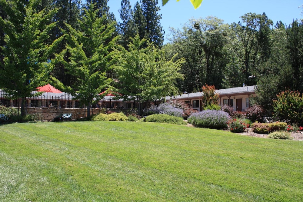 Mother Lode Motel - photo 34