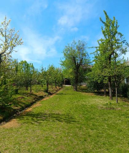Family Hotel Leila in Lanchkhuti, Georgia