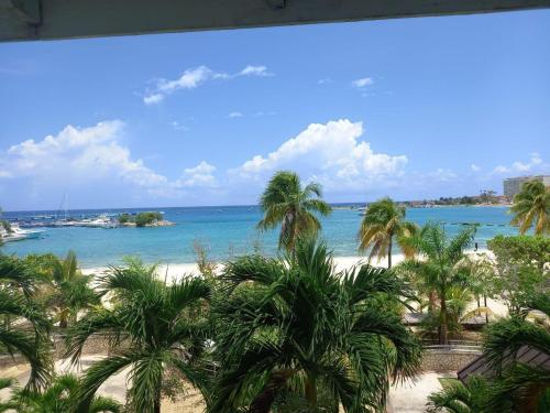 Ninth River Ocho Rios in Ocho Rios, Jamaica