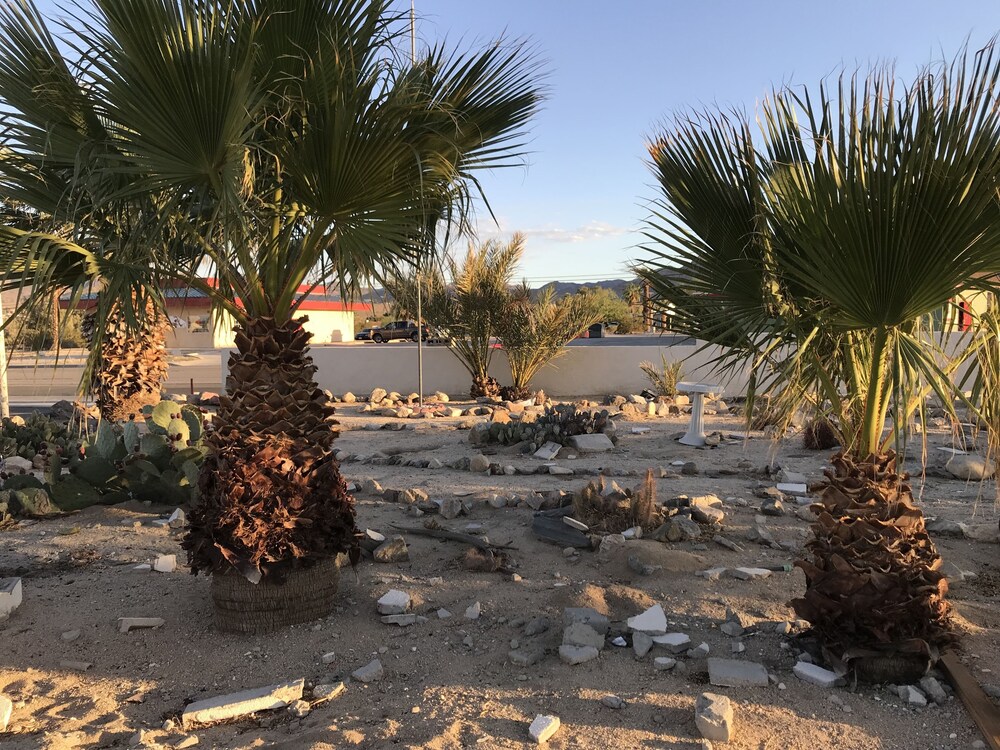 Mojave Trails Inn and Suites - photo 26